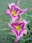 20190709_071550.jpg