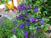 DSC00522.JPG