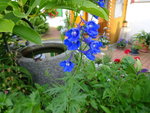 DSC00523.JPG
