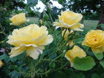 DSC00524.JPG