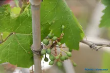comp_DSC08068.webp