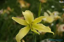 comp_DSC08060.webp