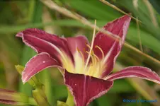 comp_DSC08063.webp