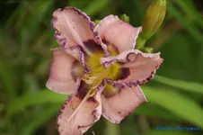 comp_DSC08064.webp