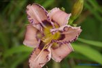 comp_DSC08064.jpg