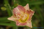 comp_DSC08065.jpg
