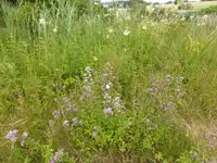 P1130502.webp