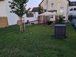 IMG_20190709_213225.jpg