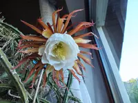 DSCF2519 (2).webp