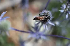image002.webp