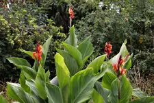 image005.webp