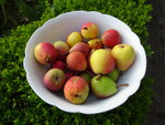 DSC00527.JPG