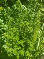 20190710_135534.webp