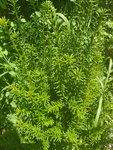 20190710_135534.jpg