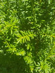 20190710_135539.jpg