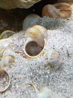 20190710_183603.webp