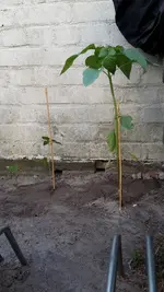 20190710_200542.webp