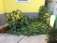 170831 140.webp