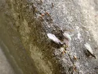 P1040832.webp P1040832.webp