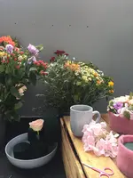 37368E2F-F6E5-41CB-BCE9-F457854553AC.webp 37368E2F-F6E5-41CB-BCE9-F457854553AC.webp