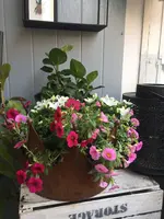 7AE05155-9C0D-4F0E-B140-0F8FA40DBDBE.webp 7AE05155-9C0D-4F0E-B140-0F8FA40DBDBE.webp