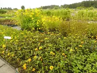 P1020808.webp