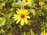 P1020809.webp