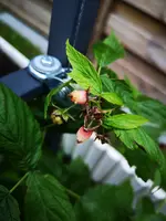 IMG_20190711_211313.webp