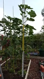 2019-07-12 09.15.23.webp