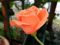 20190712_102534(1).webp