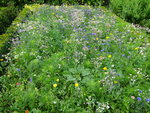 DSC00539.JPG