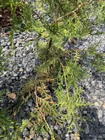 IMG_0414-min.webp