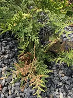 IMG_0416-min.webp