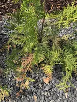 IMG_0417-min.webp