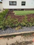 IMG_0418-min.jpg