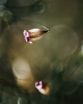 0M3A0683.jpg