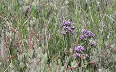 20190712_201545.webp