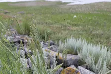 20190712_201524.webp
