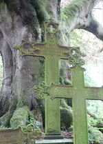 20190712_203040.webp