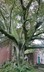 20190712_203103.jpg