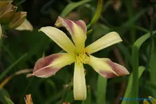 comp_DSC08076.webp
