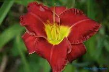comp_DSC08080.webp