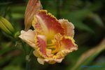 comp_DSC08082.jpg
