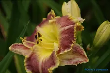 comp_DSC08083.webp