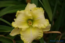comp_DSC08084.webp