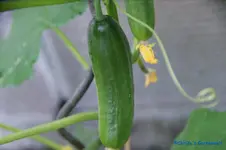 comp_DSC08087.webp