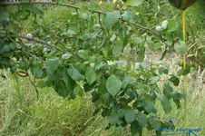 comp_DSC08091.webp