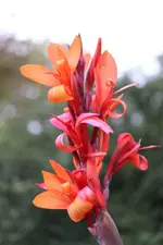 image001.webp