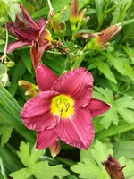 20190714_114351.webp
