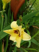 20190714_114309.webp